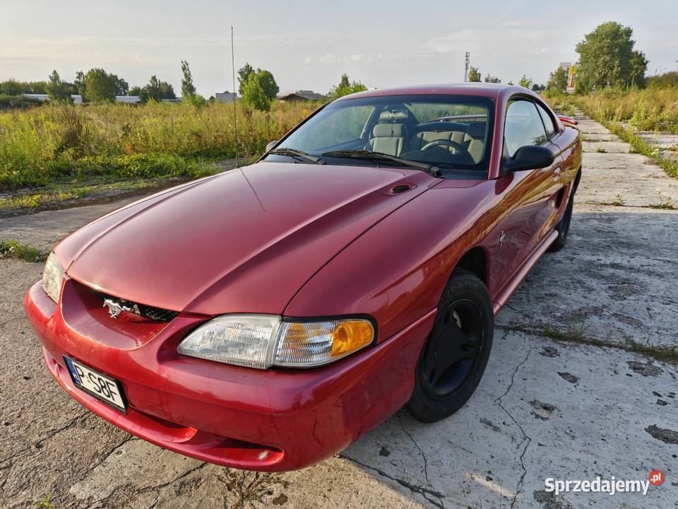 Ford Mustang sn95 38 V6 Manual Września