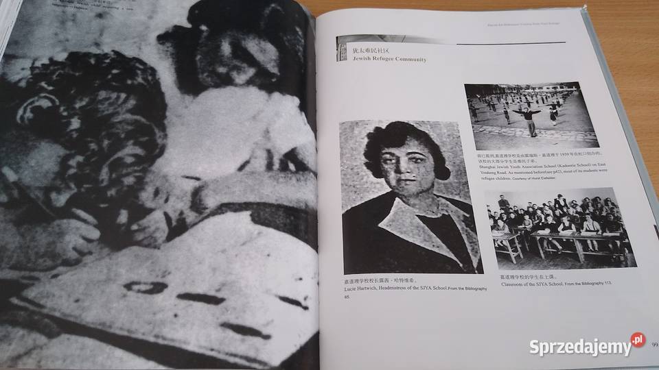 The Jews in China 2001 by Pan Guang