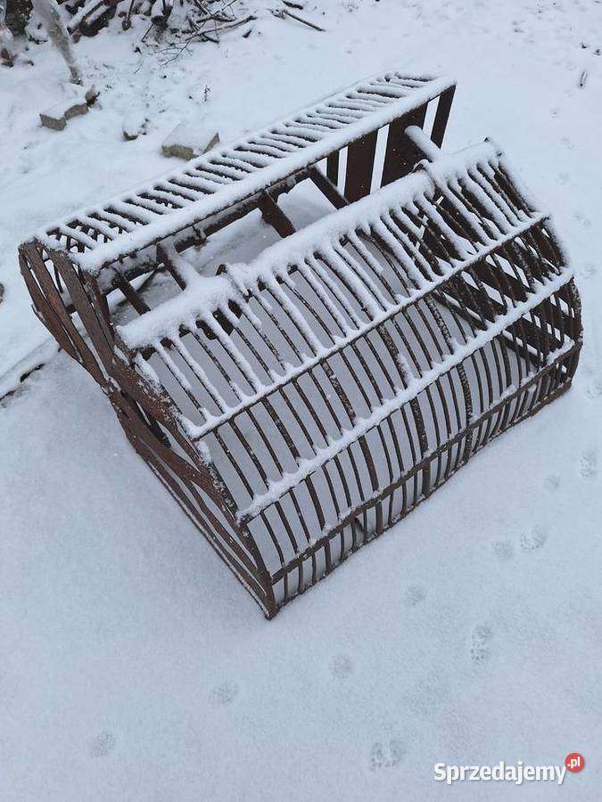 Gable do ziemniaków cyklopa