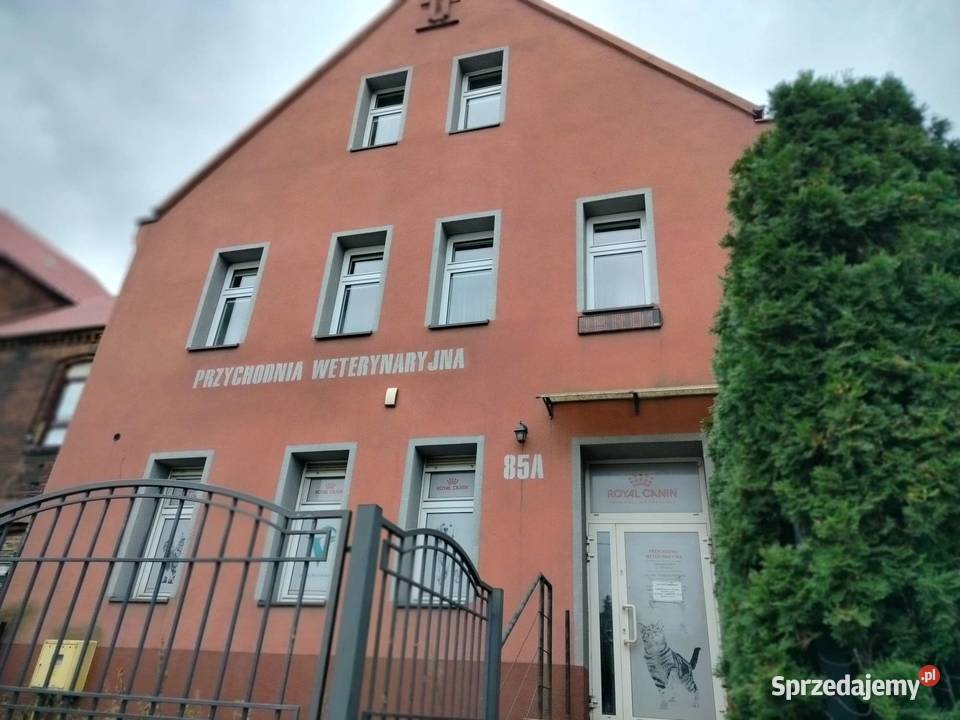 120m2 domu 500m2 gruntu 2 mieszkania 80m i 40m śląskie Bytom