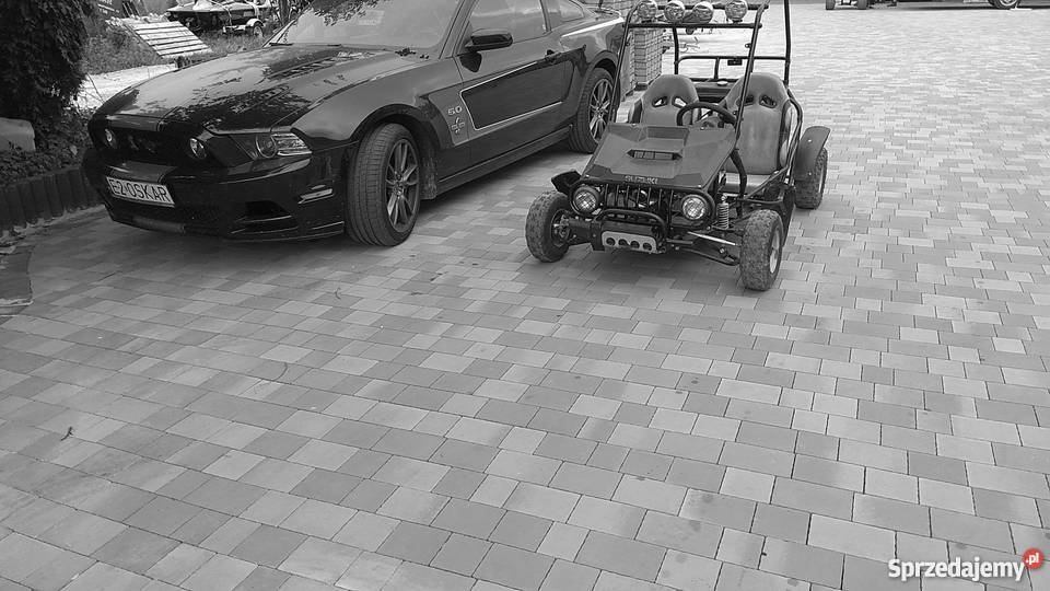 Buggy 110cc okazja Rok produkcji 2006 Ozorków