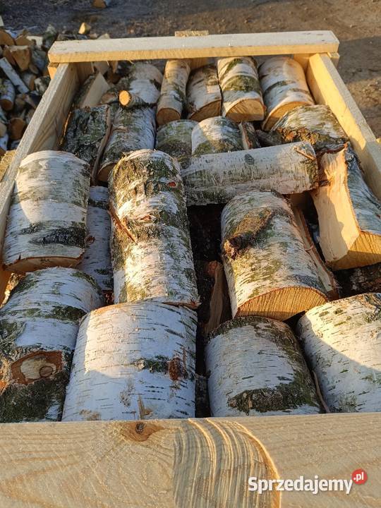 Drzewo kominkowe brzoza Opał Częstochowa