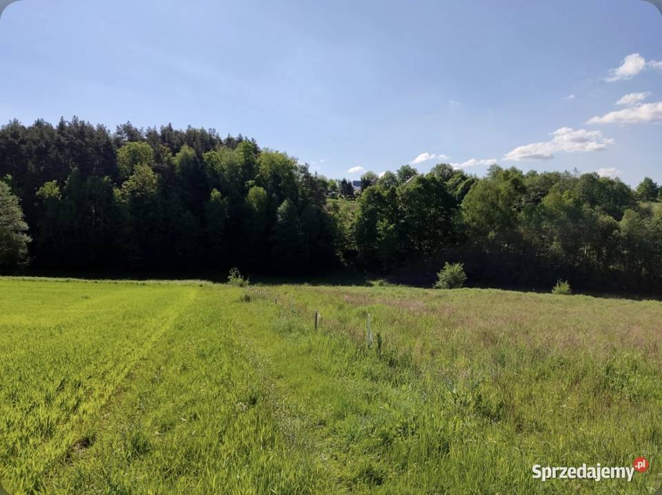 Działka budowlana Dąbie gmina Raciechowice