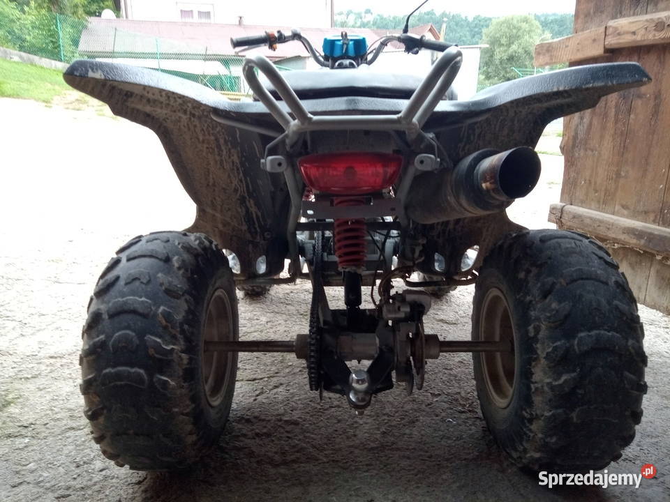 Quad 300 Rok produkcji 2014 Kasinka Mała