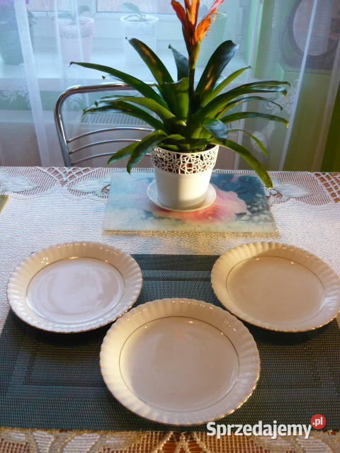 Talerzyki deserowe Chodzież Talerze i talerzyki śląskie Myszków