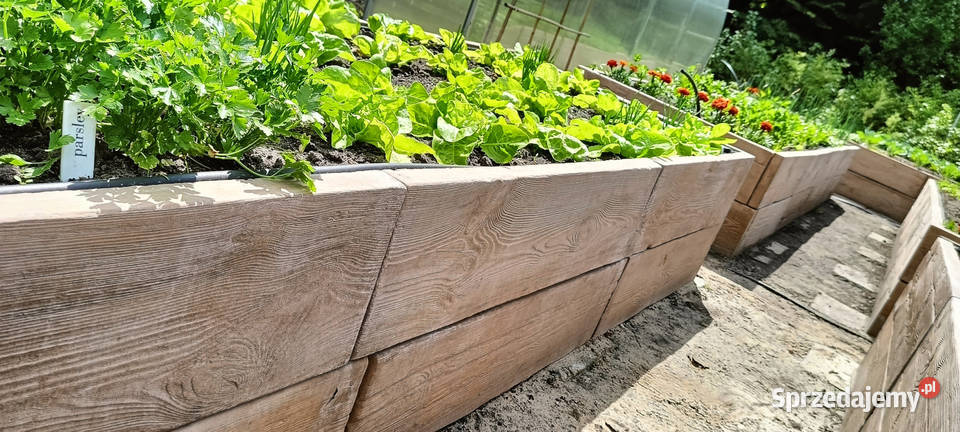 Warzywnik betonowy Podwyższone grządki betonowe Pozostałe Poznań