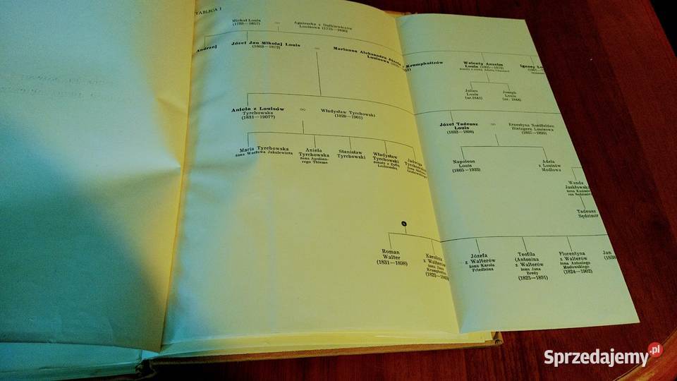 Pamiętniki krakowskiej rodziny Louisów 18311869 Gdańsk