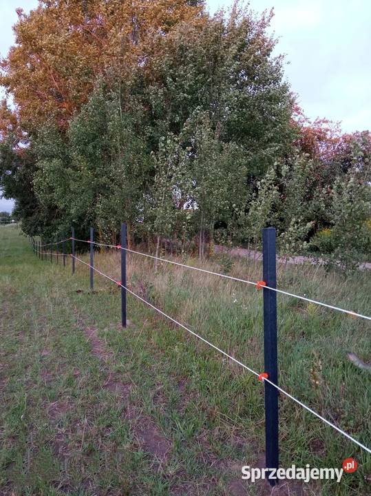 Mocne i trwałe słupki do pastucha 5x200 z Szydłowiec