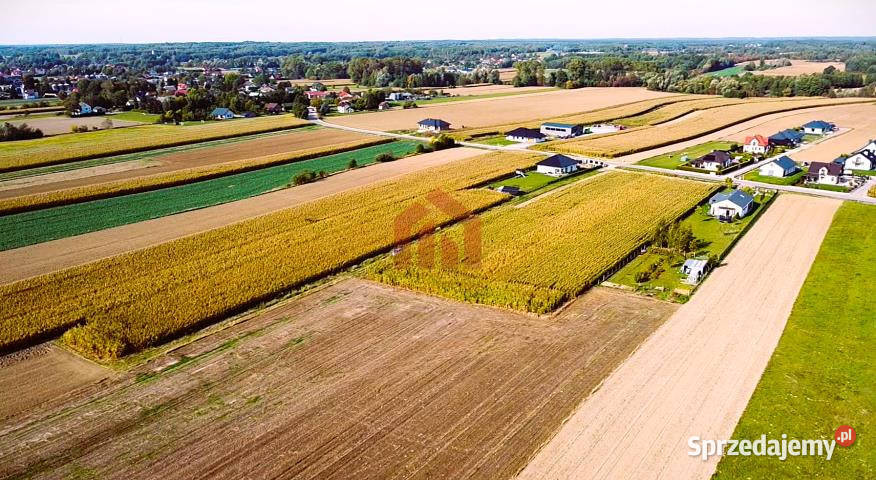 Grunt na sprzedaż 18750m2 Borek Wielki Wschodnia podkarpackie sprzedam