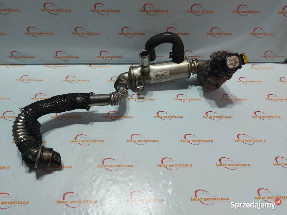 MAZDA 3 FORD 16 CITD Y6 7M5Q6007FB 110 osobowe świętokrzyskie Kielce