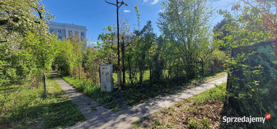 300 m zieleni na Mokotowie działka ROD z mazowieckie Warszawa