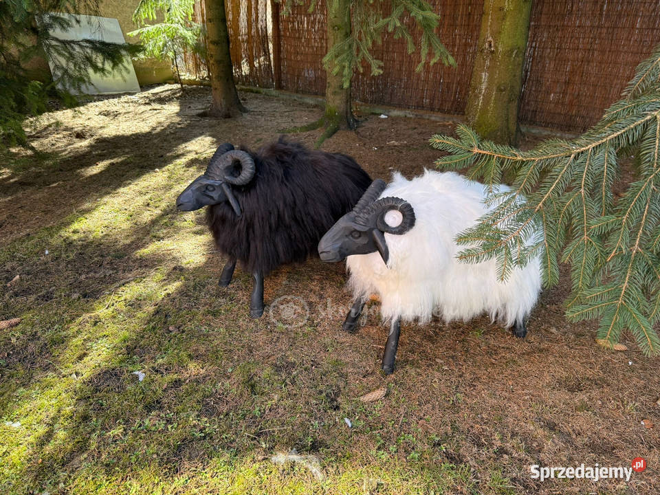 Baran dekoracyjny drewniany ze skóry owczej małopolskie Szaflary