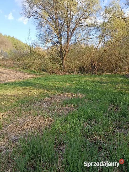 30ar Kościejów gm Racławice