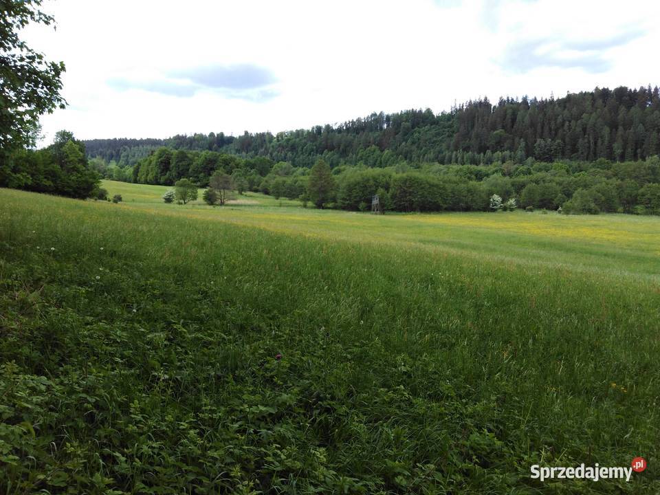 Działka z decyzją o war zabudowy Czarnej Góry sprzedam