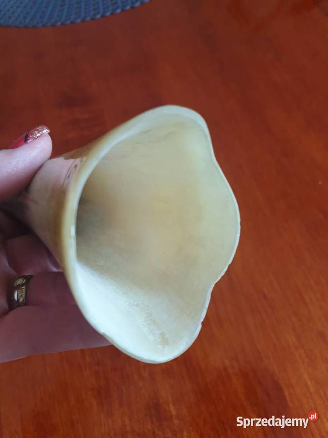 Ozdobny róg myśliwski 17 Pozostałe Radom sprzedam