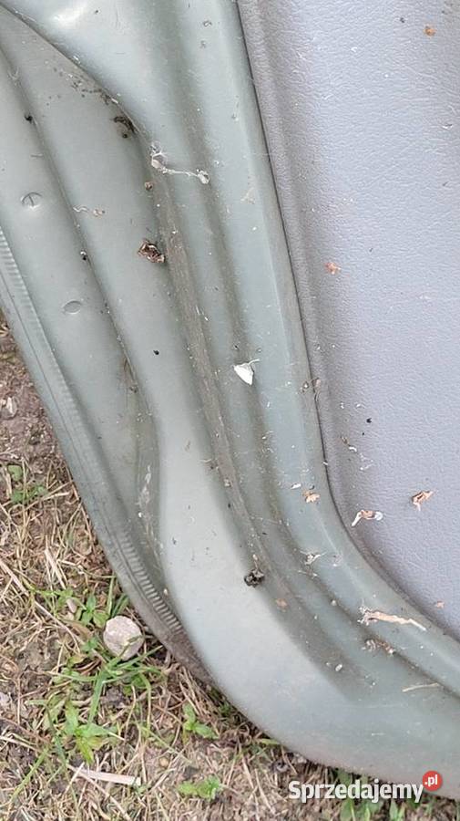 Drzwi Renault Thalia Łagów