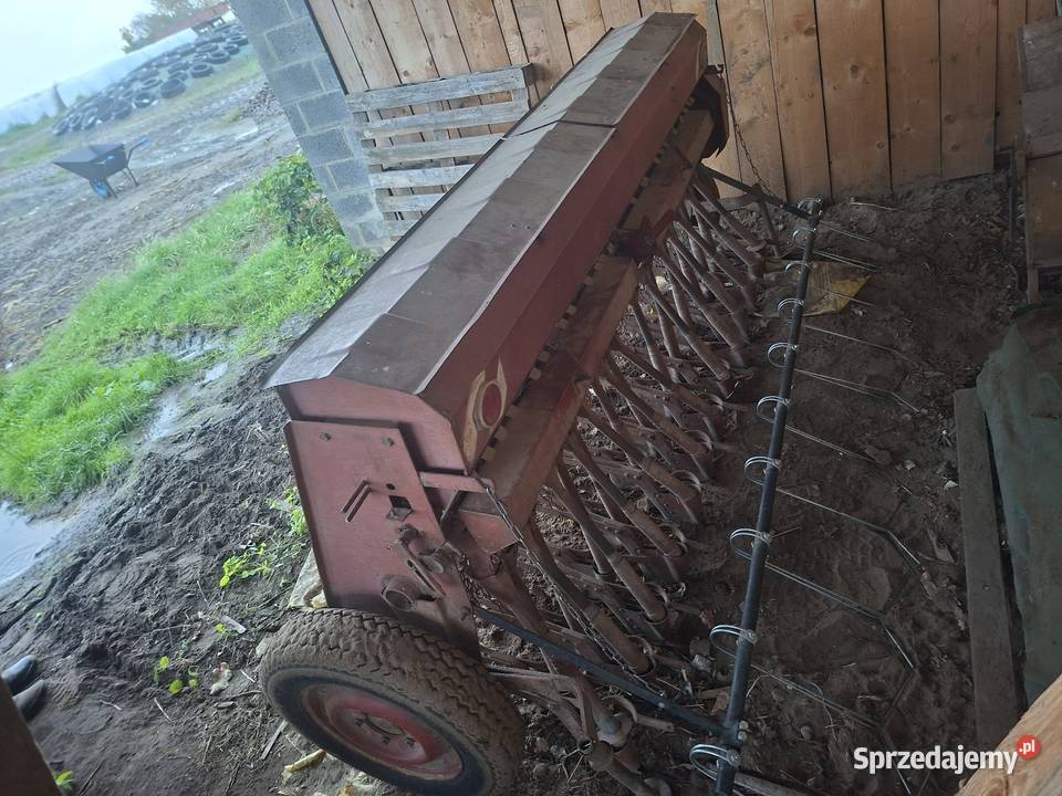 Sprzedam siewnik mazowieckie Zychorzyn