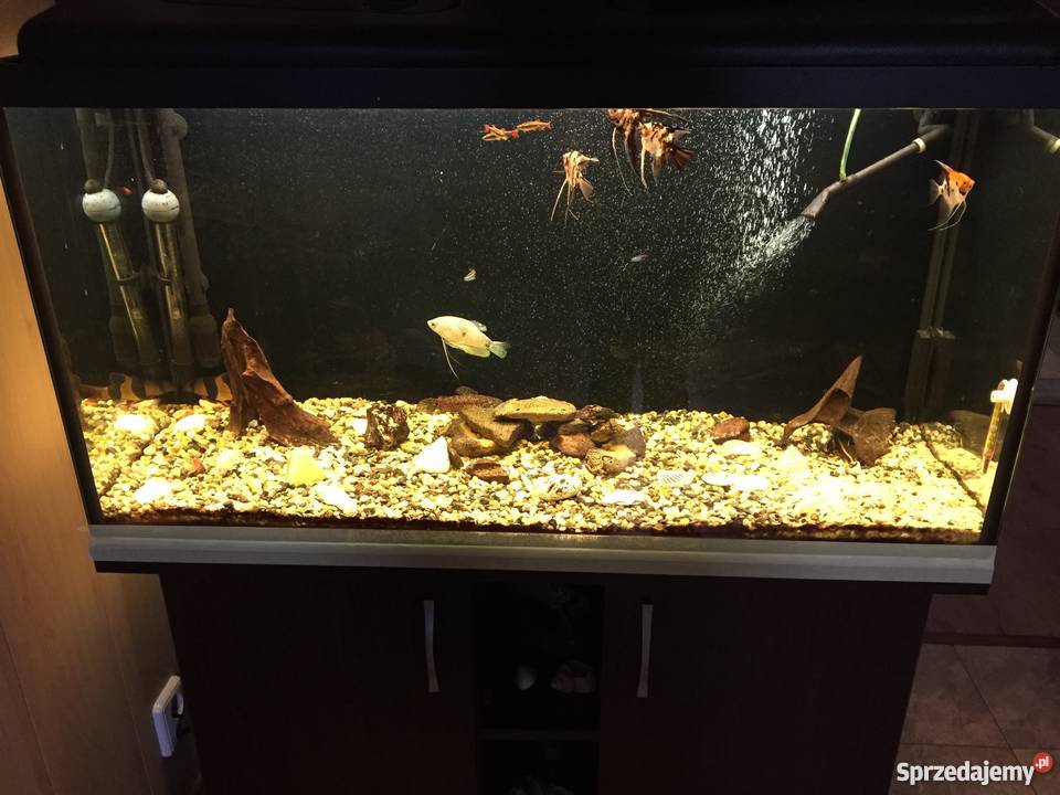 Akwarium 200L komplet szafka Częstochowa
