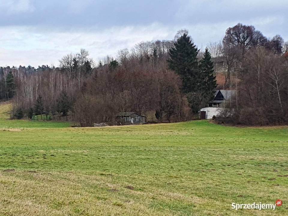 Działka 1677m wąwozie Rzeczyca Kolonia Kazimierz Kazimierz Dolny