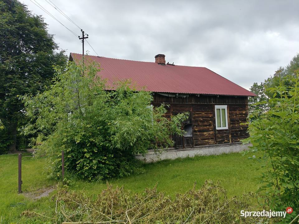 Syndyk sprzeda Nowy Szczeglin