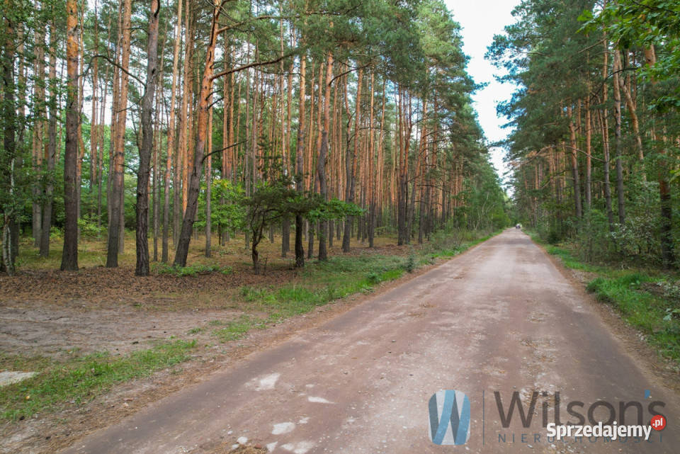 sprzedaży działki Nadma Wrzosowa 21132m2 Sprzedaż