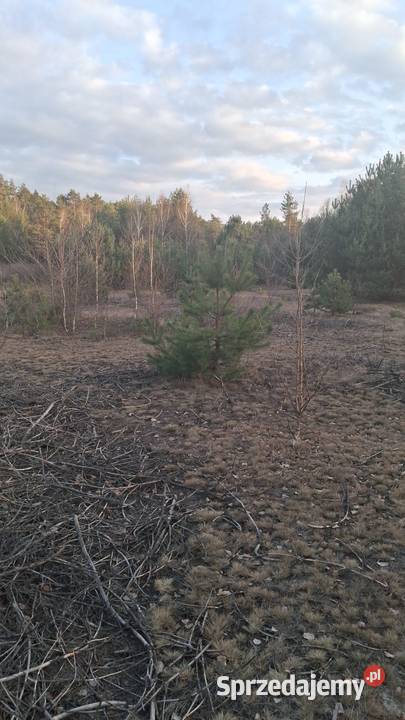 Sprzedam działkę rekreacyjną 17.5m