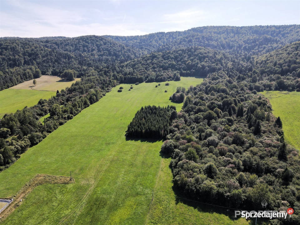 sprzedaży działki 1885m2 Uście Gorlickie handlowo-usługowa