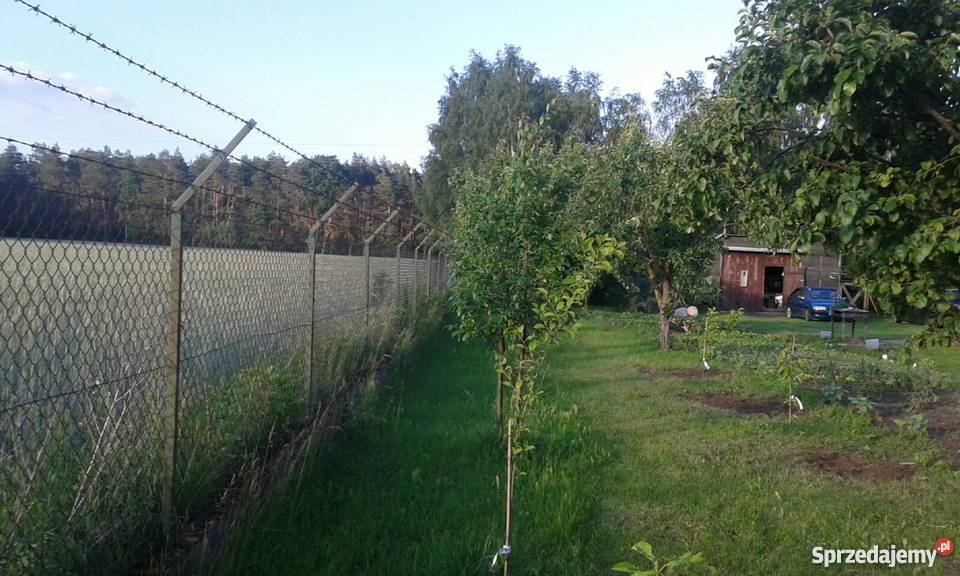 Zagospodarowane siedlisko sprzedam Sypniewo sprzedam