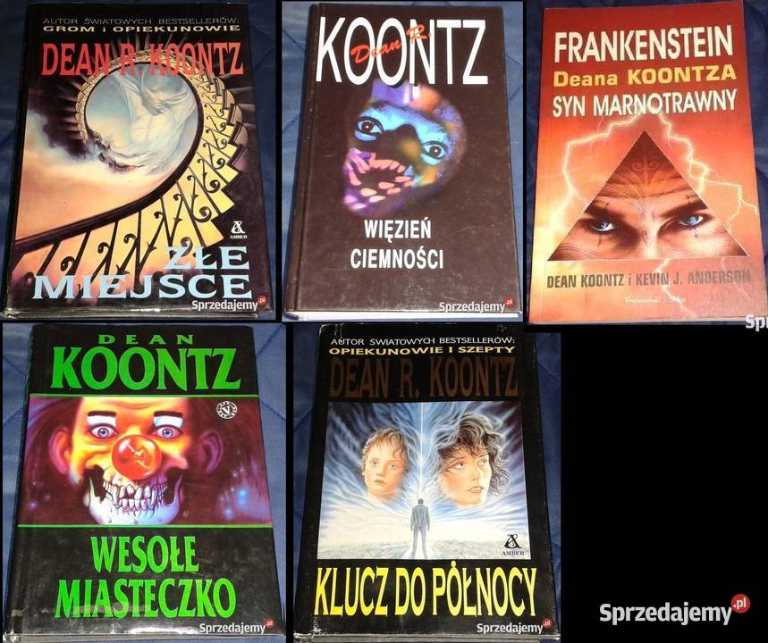 Dean Koontz 5 książek twarda z obwolutą Pozostałe Chełm