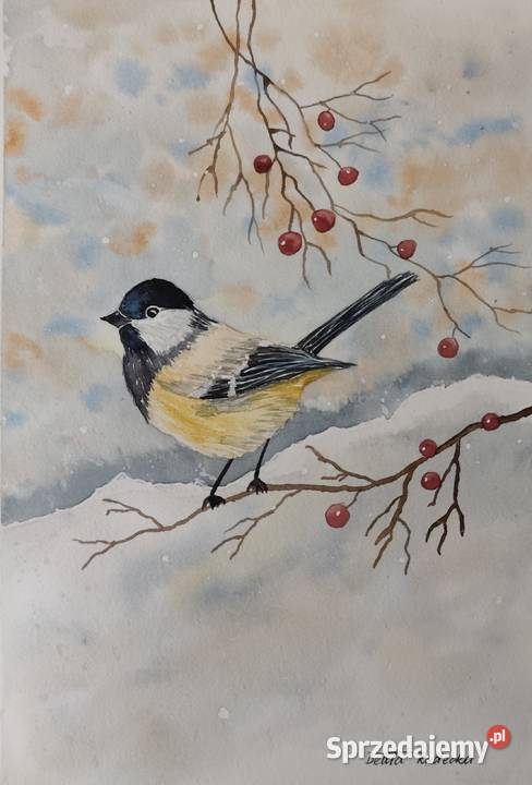Akwarela Akwarelka Obraz pt Sikorka Wrocław