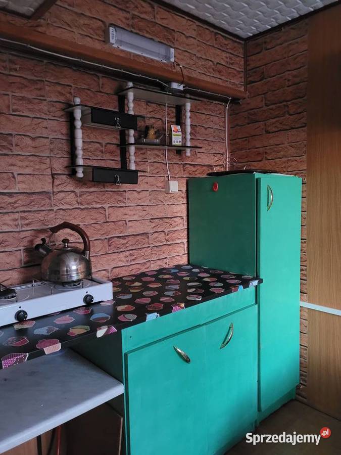 Zadbana działka rekreacyjna ROD Wiosenka łódzkie Pabianice