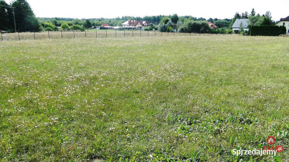 sprzedaży działki Letniki 4000m2