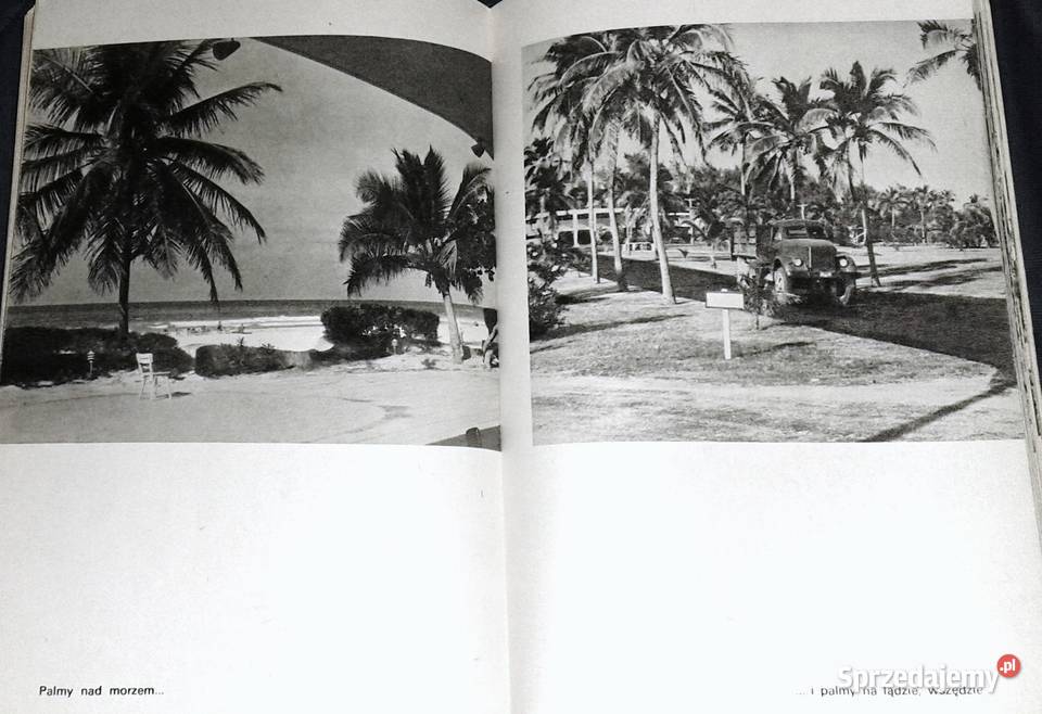 Zaczęło się w Oriente Lech Niekrasz Chełm