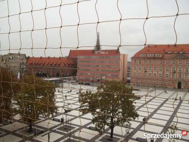 Siatki na okna i balkon siatki koty siatki Wrocław