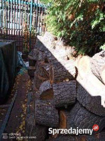 Drzewo kominkowe 400 1m3 Warszawa