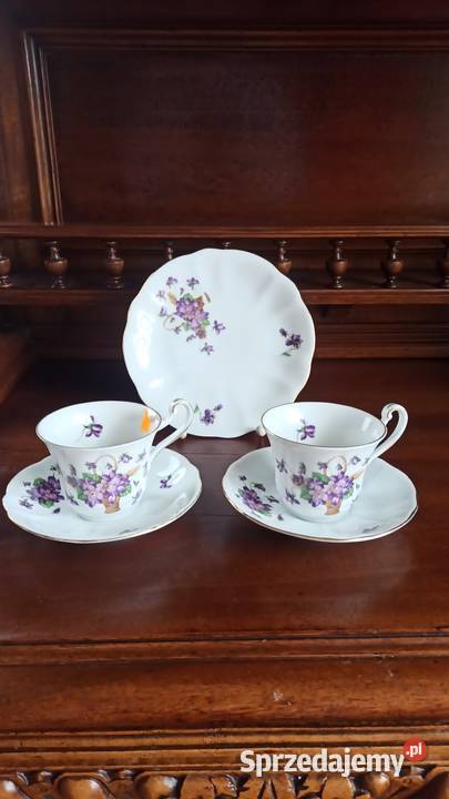 Filiżanka z talerzykiem Rheinpfalz Germany Biała Gdańsk