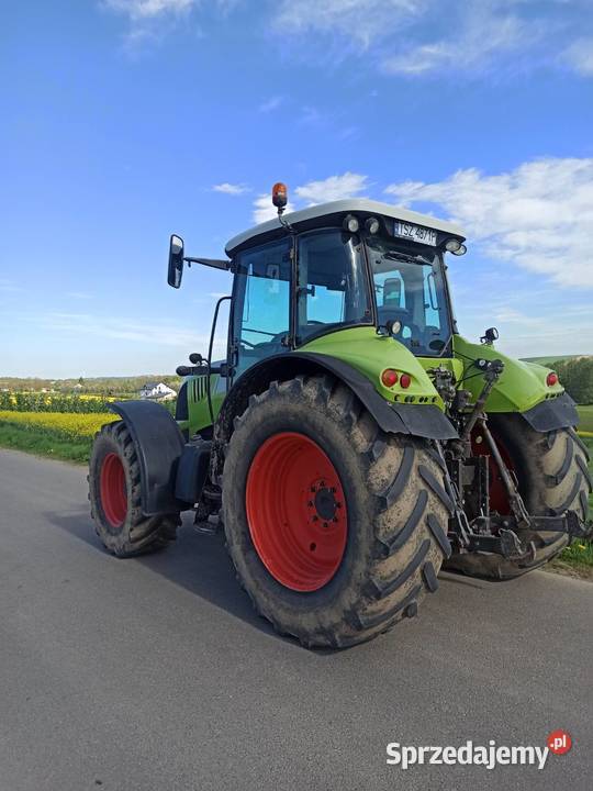 Claas Arion 640 155 z Niemiec w oryginale Bogoria