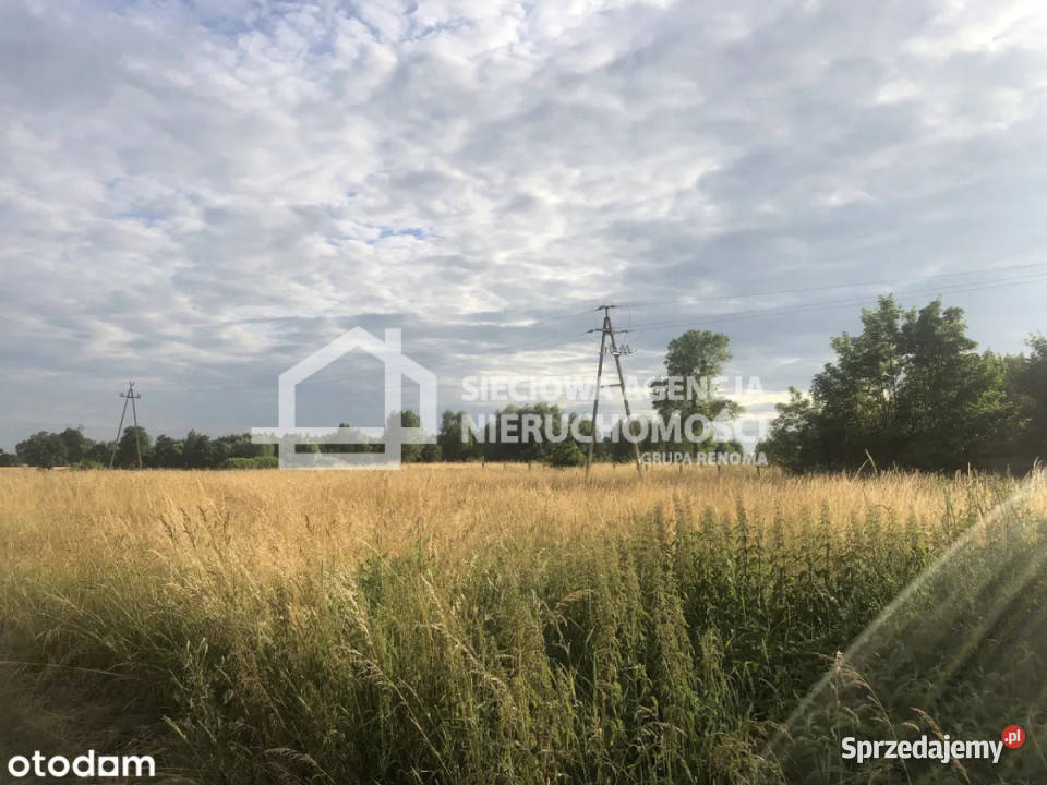 Grunt Mikoszewo 1000m2 Sprzedaż