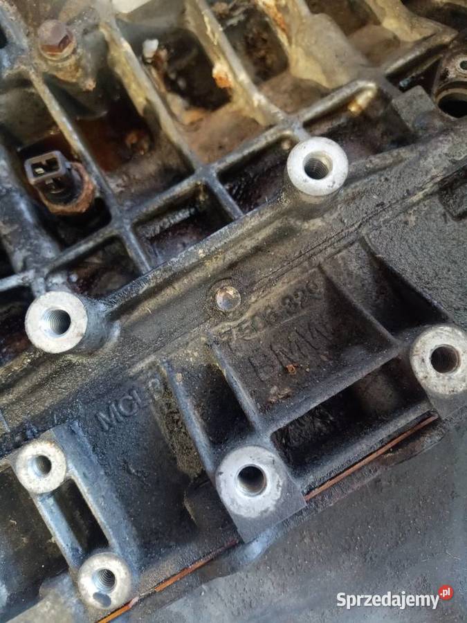 Silnik z BMW e90 20 na czesci Puławy