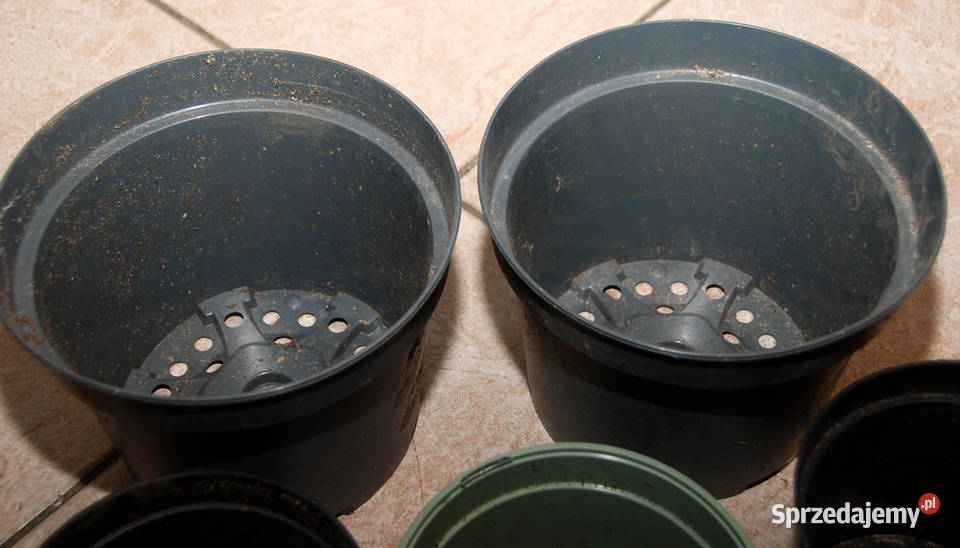 10 doniczka doniczki produkcyjne do rozsady śr10 Warszawa sprzedam