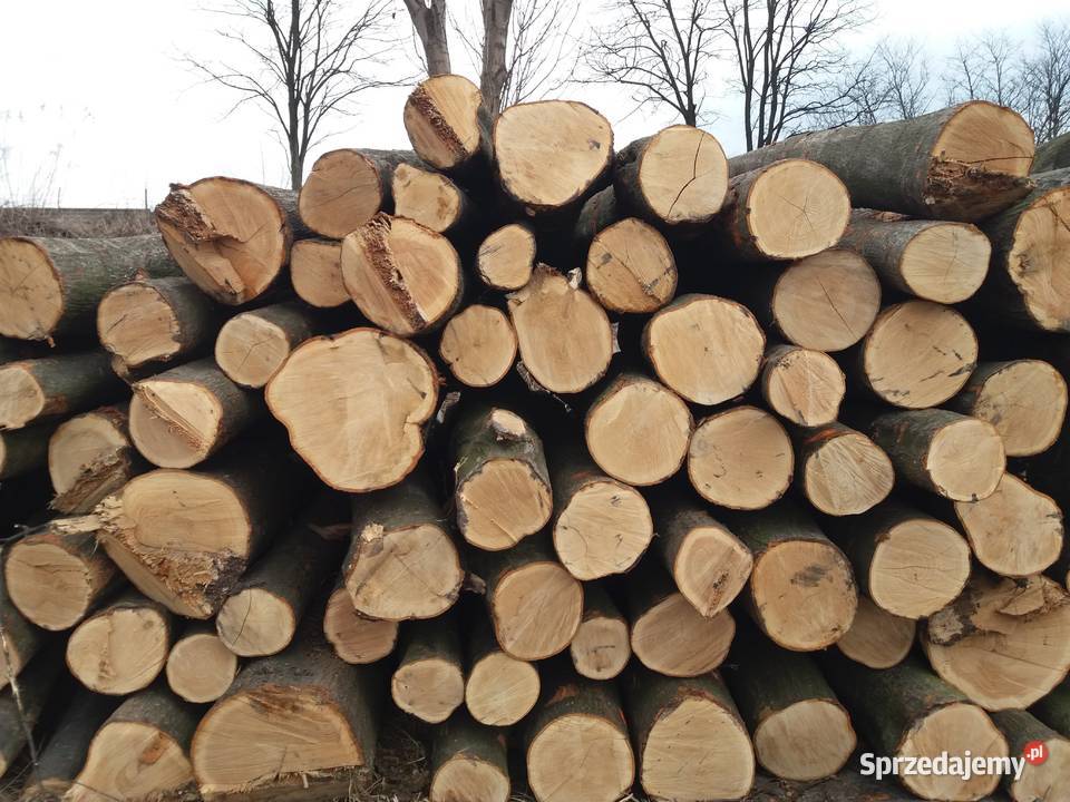 Drewno w wałkach S2A 250 Buk Dąb Brzoza sprzedam