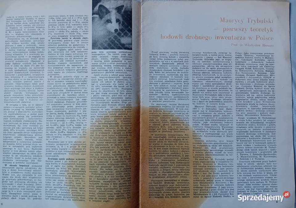 Hodowca Drobnego Inwentarza 2 1978 r Koźminek