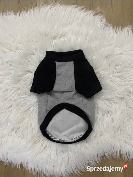 Nowa bluza ubranko psa Balenciaga L3XL mazowieckie Warszawa