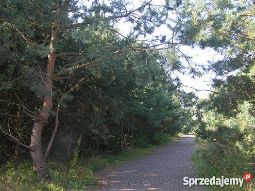 działka budowlana Bobrowiec kWarszawy 260zł/m2 Bobrowiec