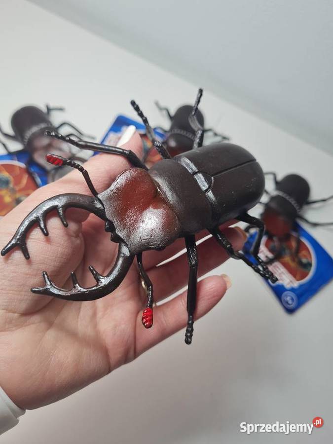 Insect Toy Chrząszcz 12 Krasne-Lasocice sprzedam