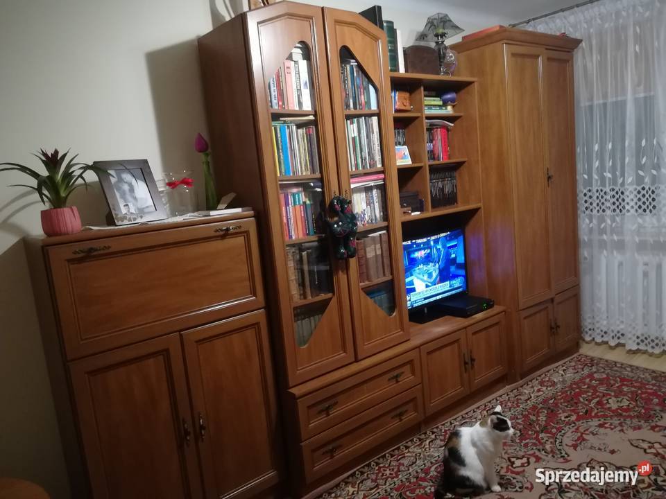 Tanio regał pokojowy