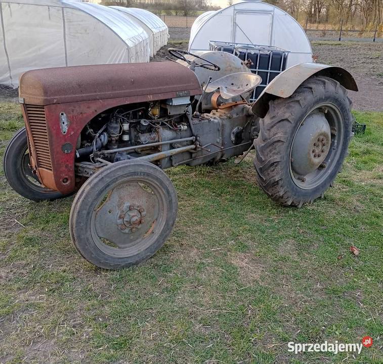 Sprzedam Fergusona TEA 20 wielkopolskie Gniezno sprzedam