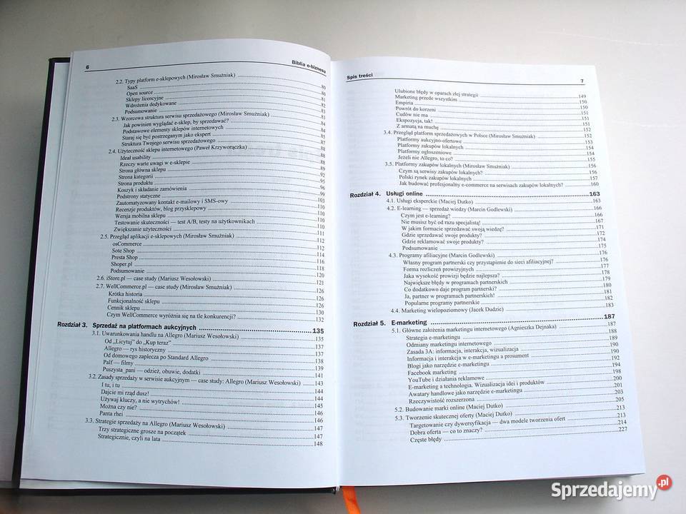 Biblia ebiznesu Praca zbiorowa Łódź
