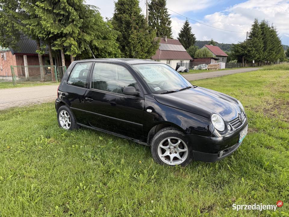 Volkswagen Lupo 10 MPI 50 2005 r 170000 stan DB Lupo podkarpackie Hoszów