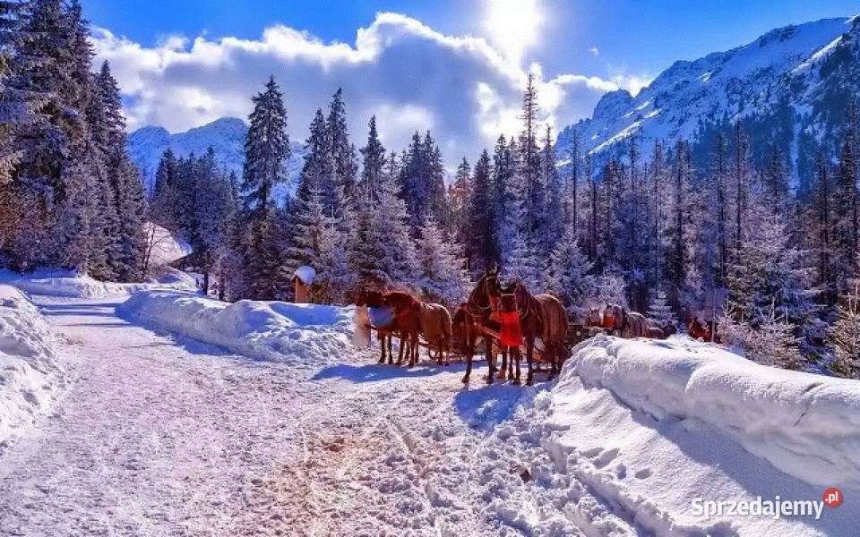 KULIG Z BIESIADĄ W KARCZMIE Wyjazd z Nowego Nowy Sącz sprzedam